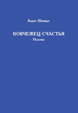 Борис Шапиро Ковчежец счастья. Псалмы обложка книги