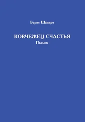 Борис Шапиро - Ковчежец счастья. Псалмы