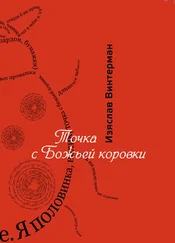 Изяслав Винтерман - Точка с божьей коровки