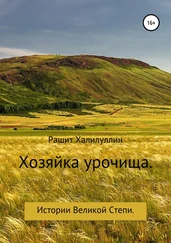 Рашит Халилуллин - Хозяйка урочища. Истории Великой Степи