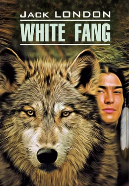 Джек Лондон White Fang / Белый Клык. Книга для чтения на английском языке обложка книги