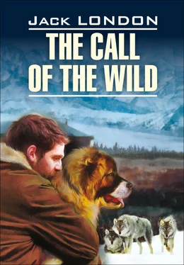 Джек Лондон The Call of the Wild / Зов предков. Книга для чтения на английском языке обложка книги