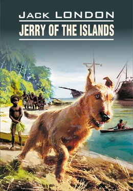 Джек Лондон Jerry of the Islands / Джерри-островитянин. Книга для чтения на английском языке обложка книги