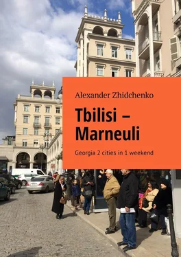 Alexander Zhidchenko Tbilisi – Marneuli. Georgia 2 cities in 1 weekend обложка книги