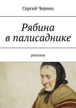 Сергий Чернец Рябина в палисаднике. Рассказы обложка книги