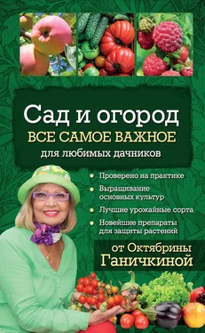 Александр Ганичкин Сад и огород. Все самое важное для любимых дачников обложка книги