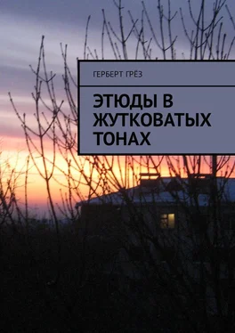 Герберт Грёз Этюды в жутковатых тонах обложка книги