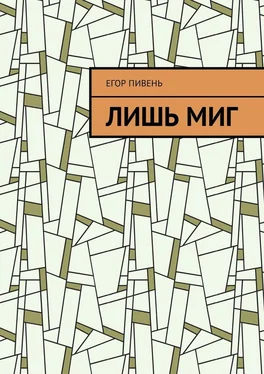 Егор Пивень Лишь миг обложка книги