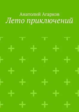 Анатолий Агарков Лето приключений. Настоящий друг не позволит тебе совершать глупости в одиночку обложка книги