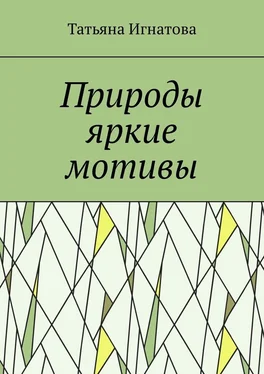 Татьяна Игнатова Природы яркие мотивы. Времена года обложка книги