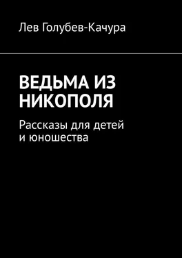 Лев Голубев-Качура Ведьма из Никополя. Рассказы для детей и юношества обложка книги