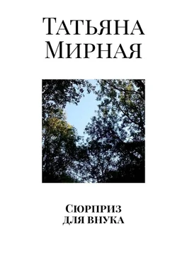 Татьяна Мирная Сюрприз для внука обложка книги