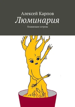 Алексей Карпов Люминария. Плавающие острова обложка книги