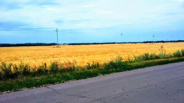 Вань ты куды видя что муж рано с утра скоблит бритвой пену на лице - фото 2