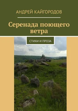 Андрей Кайгородов Серенада поющего ветра. Стихи и проза обложка книги