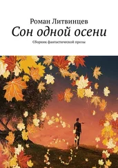 Роман Литвинцев - Сон одной осени. Сборник фантастической прозы