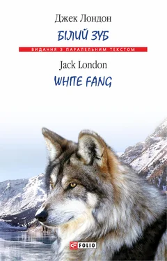 Джек Лондон Білий Зуб = White Fang обложка книги