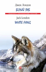 Джек Лондон - Білий Зуб = White Fang