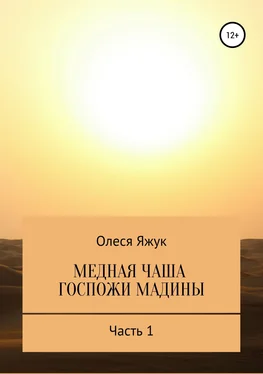 Олеся Яжук Медная чаша госпожи Мадины. Часть 1 обложка книги