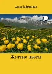 Анна Байрашная - Жёлтые цветы