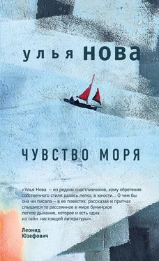 Улья Нова Чувство моря обложка книги