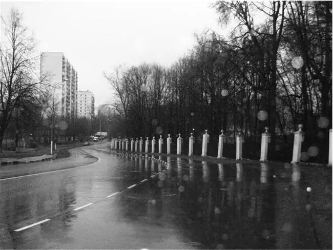 Не зацепило не пришлось Не зацепило не пришлось напрасно поделом я - фото 3