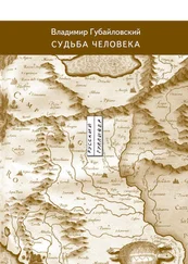 Владимир Губайловский - Судьба человека