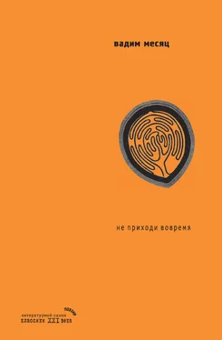 Вадим Месяц Не приходи вовремя (мифы о Хельвиге) обложка книги