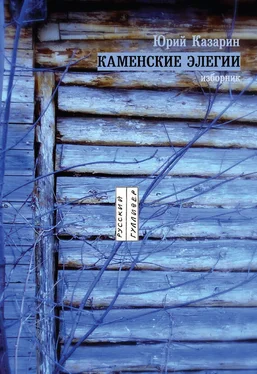 Юрий Казарин Каменские элегии. Изборник обложка книги