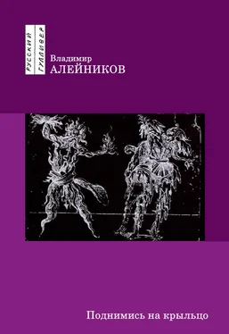 Владимир Алейников Поднимись на крыльцо обложка книги