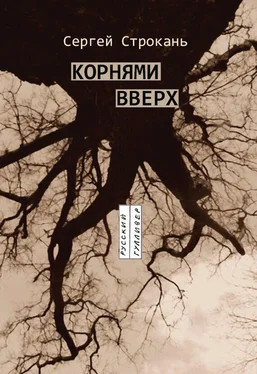 Сергей Строкань Корнями вверх обложка книги