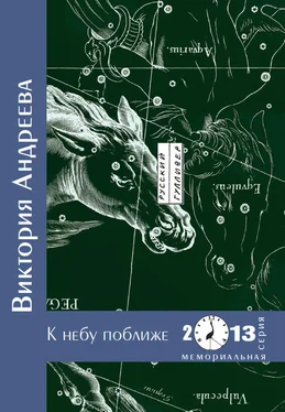 Виктория Андреева К небу поближе обложка книги