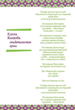 Елена Кацюба Свидетельство Луны обложка книги