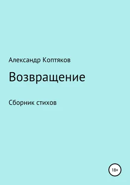 Александр Коптяков Возвращение обложка книги