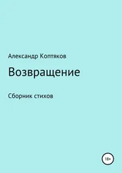 Александр Коптяков - Возвращение