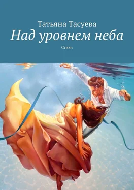 Татьяна Тасуева Над уровнем неба обложка книги