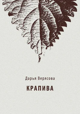 Дарья Верясова Крапива обложка книги