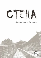 Владислав Тычков - Стена