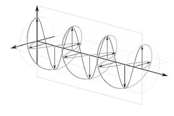 The manifestation of the spiral shape can be found at all levels in nature - фото 35