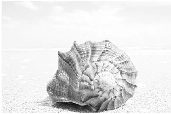 Spiral in nature and in the space As you can see from the examples above this - фото 37