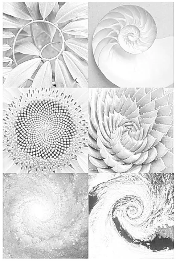 As you can see from the examples above this fundamental form of energy is - фото 38