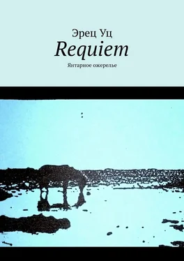 Эрец Уц Requiem. Янтарное ожерелье обложка книги