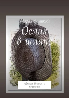 Мария Семикова Ослик в шляпе. Книги детям о планете обложка книги