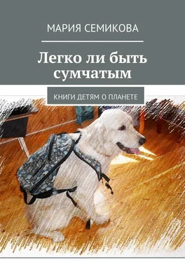 Мария Семикова Легко ли быть сумчатым. Книги детям о планете обложка книги