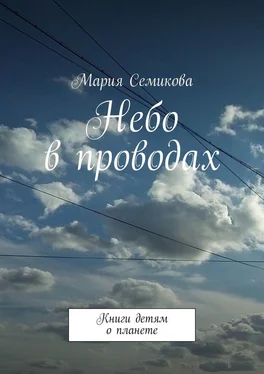 Мария Семикова Небо в проводах. Книги детям о планете обложка книги