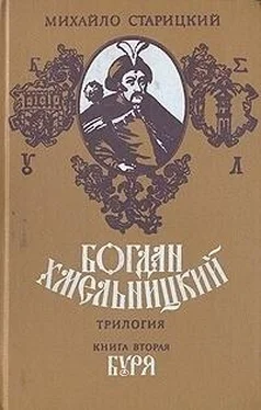 Михайло Старицкий Буря обложка книги