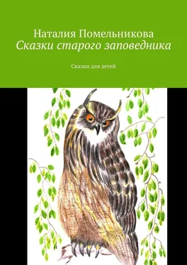 Наталия Помельникова Сказки старого заповедника. Сказки для детей обложка книги