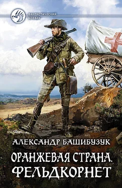 Александр Башибузук Оранжевая страна. Фельдкорнет обложка книги