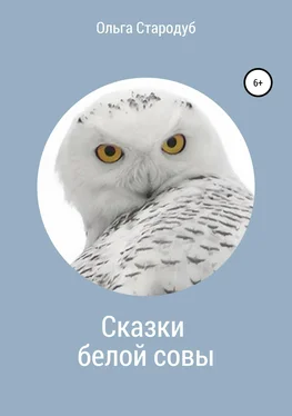 Ольга Стародуб Сказки белой совы обложка книги