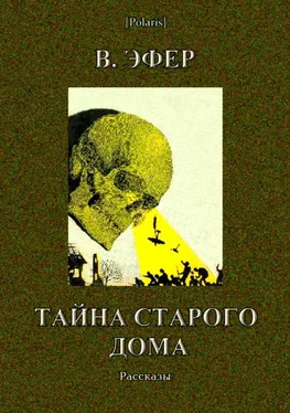 Виктор Эфер Тайна старого дома (сборник)